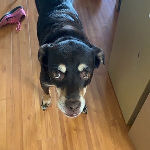 Meet your Posher, Derek